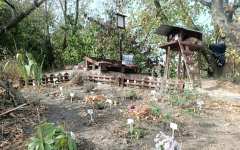 Колдовской сад 