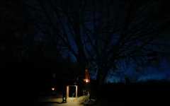 Дерево Стрибога ночью