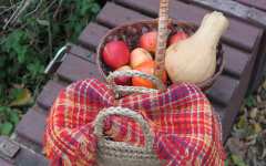 Тыквы, символы Осени 