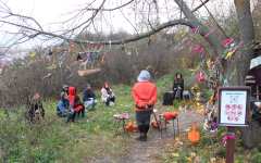 Дерево Стрибога и гости 