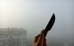 Защита Кинжалом Тумана