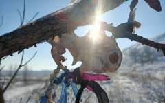 Переклад порчи на мертвую плоть