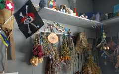 Колдовские травы 