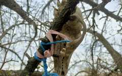 Порча на  клеветников